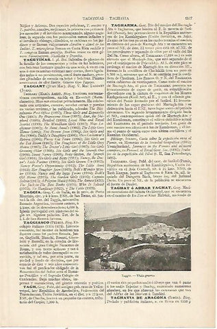 LAMINA ESPASA 22856: Vista de Taggia Italia