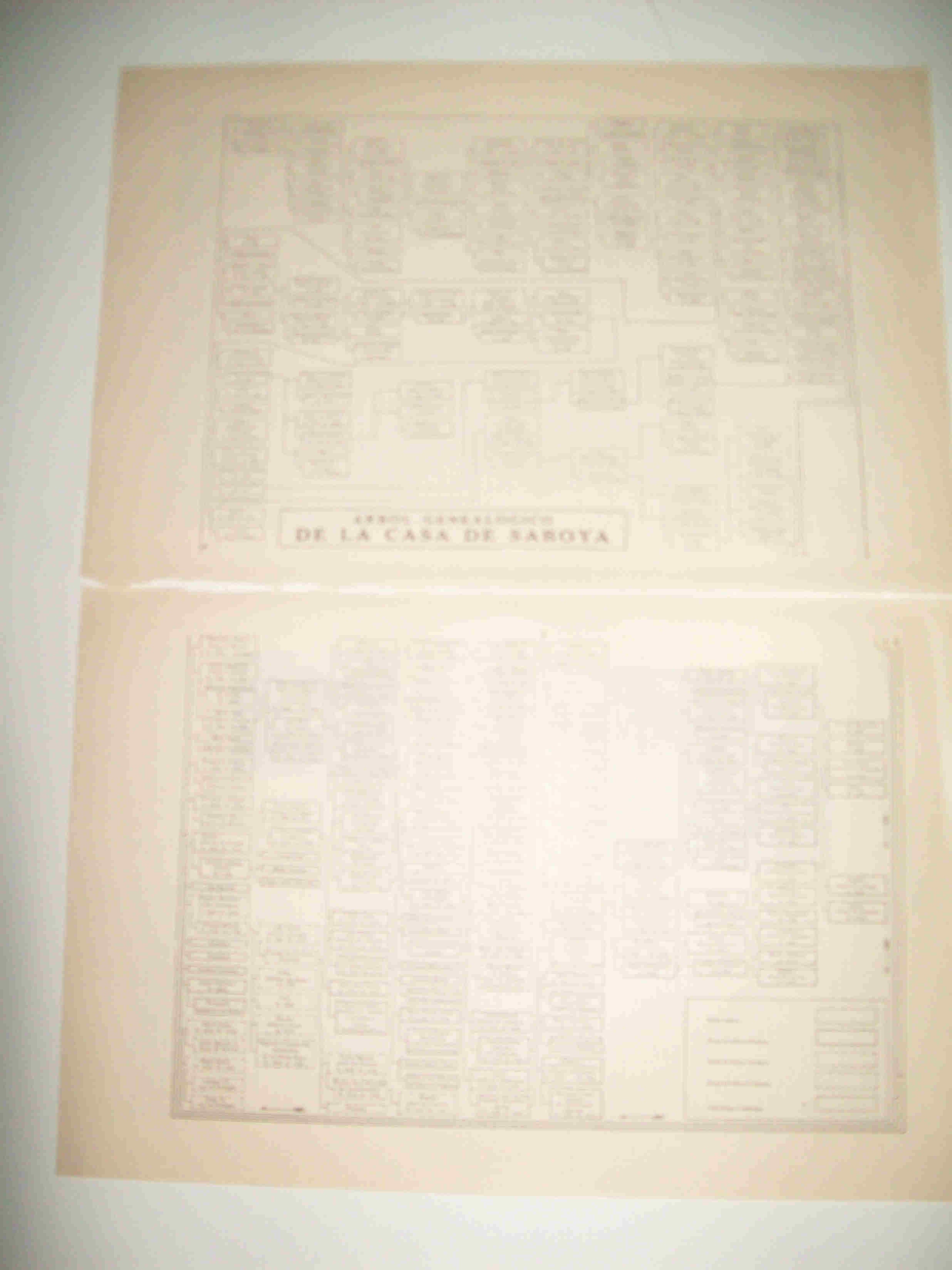 LAMINA ESPASA 22897: Arbol genealogico de la Casa de Saboya
