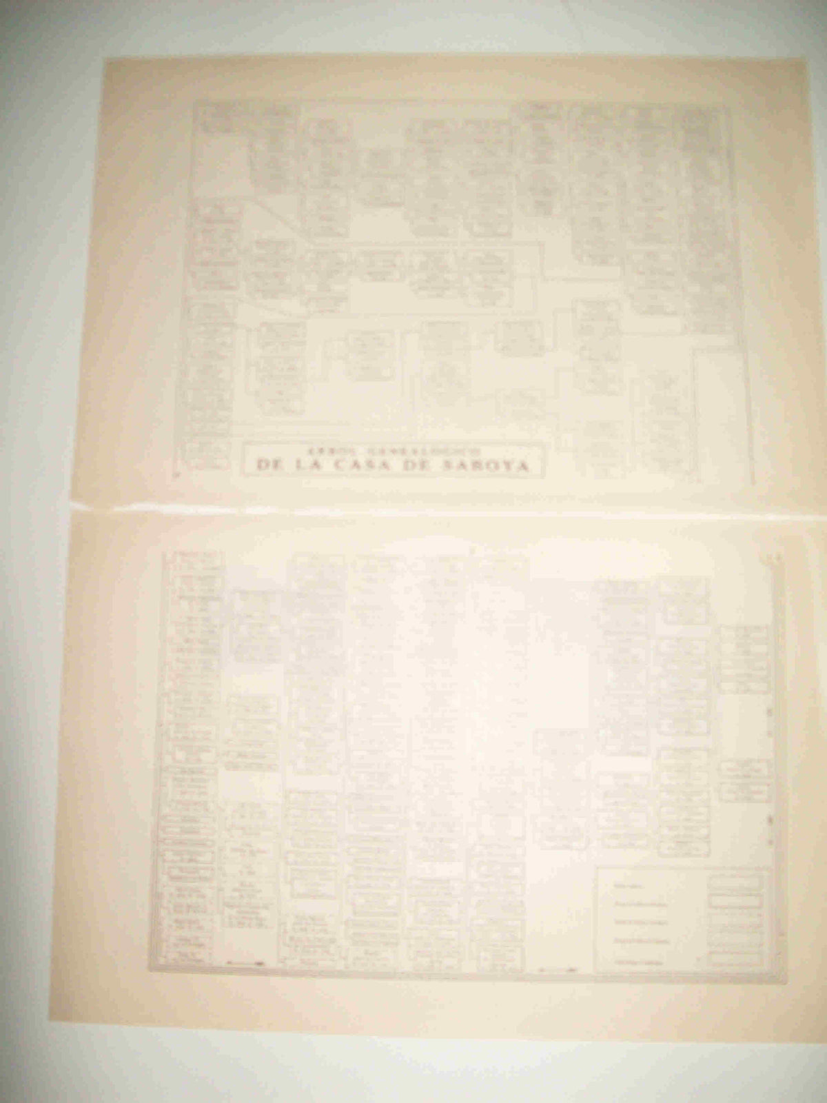 LAMINA ESPASA 22897: Arbol genealogico de la Casa de Saboya