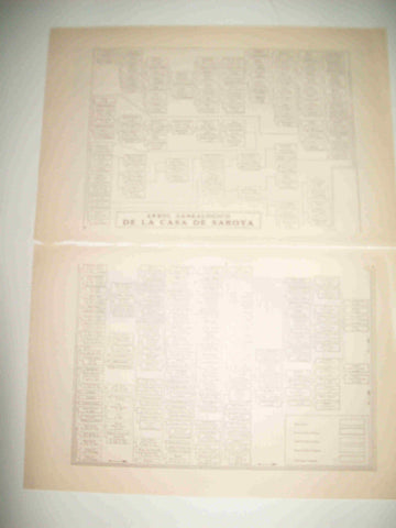 LAMINA ESPASA 22897: Arbol genealogico de la Casa de Saboya