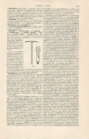 LAMINA ESPASA 22911: Sacho