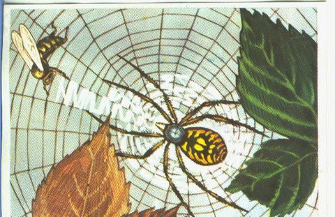 Cromos: Historia Natural numero 143