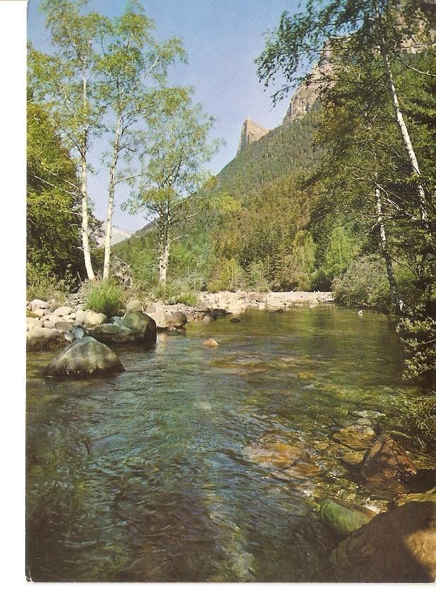 Postal 031018 : Parque Nacional de Ordesa (Pirineo Aragones). Rio Arazas - al fondo Tozal del Mallo