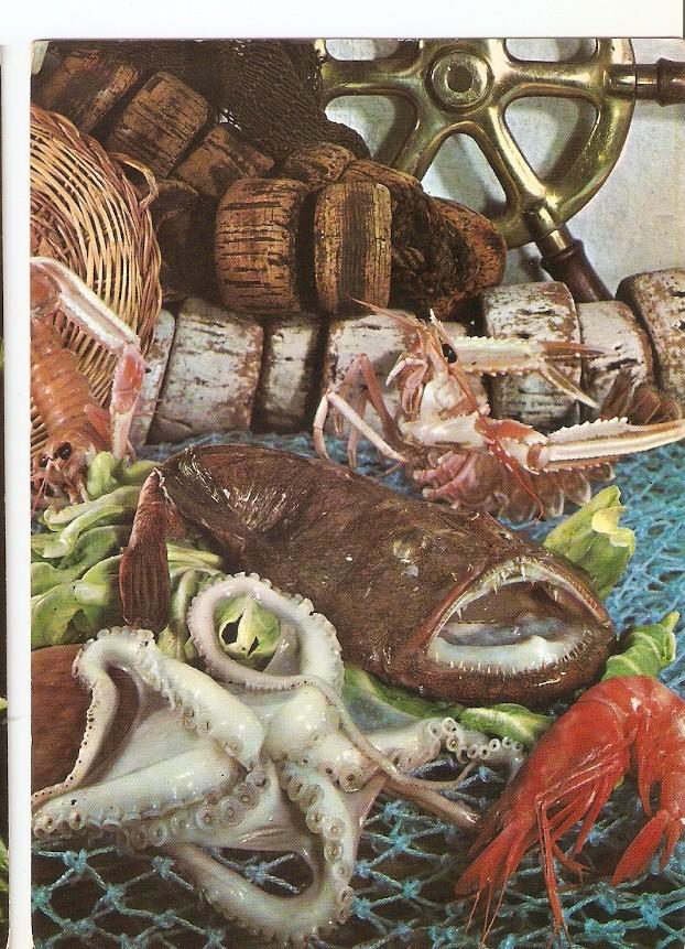 Postal 032033 : Platos tipicos. Bodegon de pescado