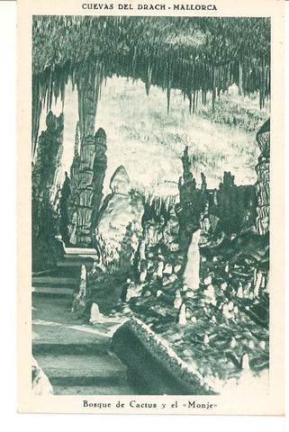 Postal 044862 : Cuevas del Drach - Mallorca. Bosque de Cactus y el Monje