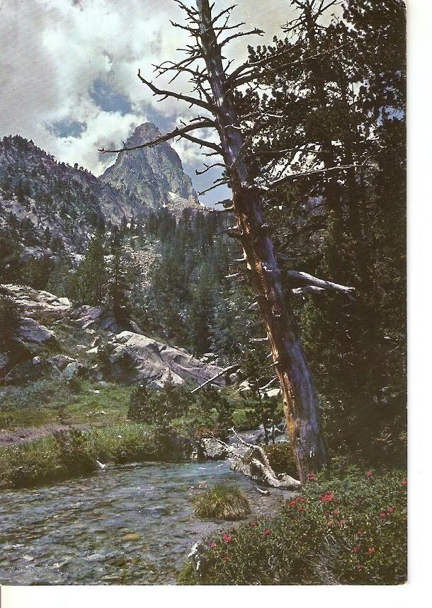 Postal 041599 : Benasque (Pirineo Aragones). Batisielles y Aguja de Parramo