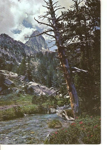 Postal 041599 : Benasque (Pirineo Aragones). Batisielles y Aguja de Parramo