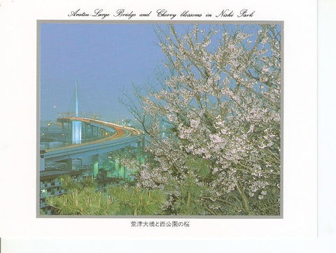 Postal 043835 : Aratsu-Large Bridge and Cherry blossoms in Nishi Park