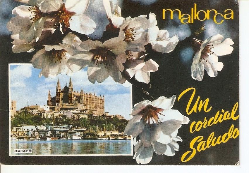 Postal 034265 : Mallorca (Baleares) España. Palma - La Catedral