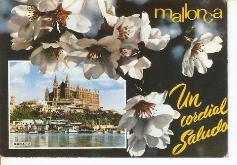 Postal 034265 : Mallorca (Baleares) España. Palma - La Catedral