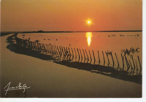 Postal 039149 : Puesta de sol