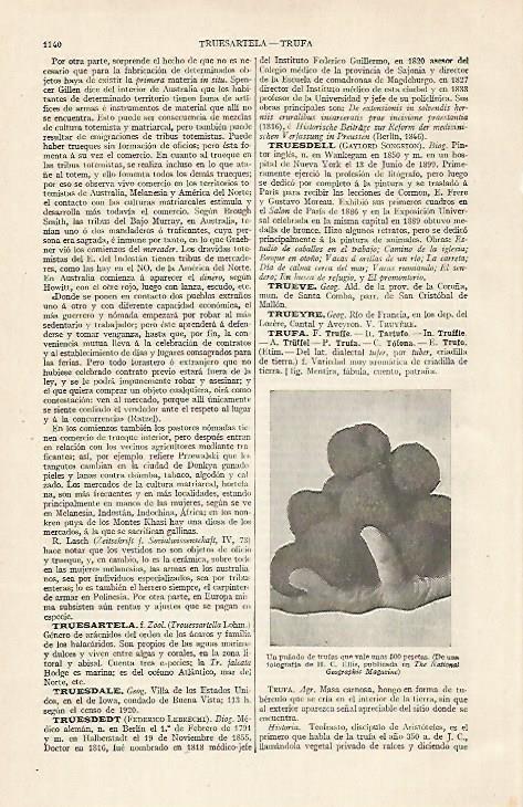 LAMINA ESPASA 20537: Trufas