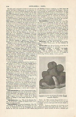 LAMINA ESPASA 20537: Trufas