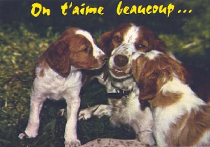 POSTAL 57627: On t aime beaucoup…