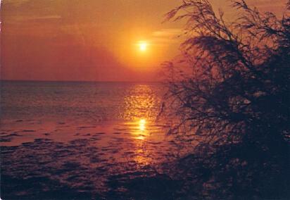 POSTAL 57633: Coucher de soleil sur les etangs