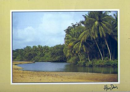 POSTAL 57644: Cocotier Beach Region de Kribi Cameroun