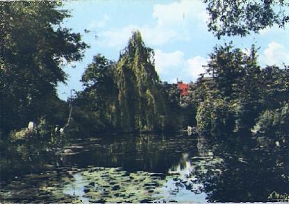 POSTAL 57659: Tourmignies Le Parc d Attractions et son Camping