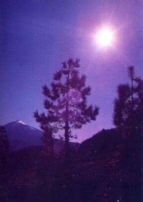POSTAL 57694: Tenerife El Teide guarda los secretos de los años