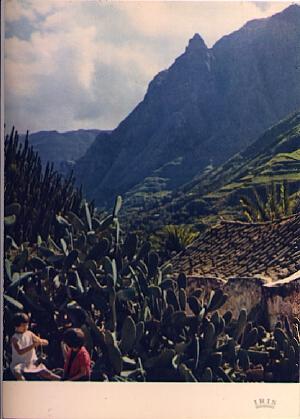 POSTAL 57707: Gran Canaria Valle de Agaete