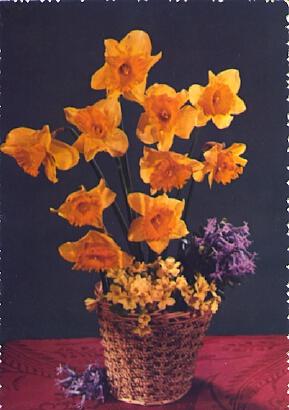 POSTAL 57715: Cesto de flores naranjas