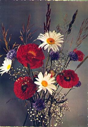 POSTAL 57716: Flores blancas y rojas