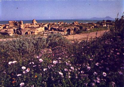POSTAL 57772: Les thermes d Antonin