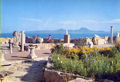 POSTAL 57775: Vue generale de l Antiquarium