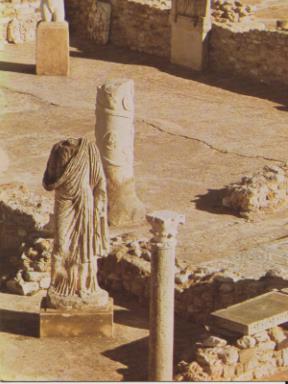 POSTAL 57812: La terrasse de l Antiquarium