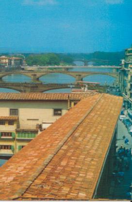 POSTAL 57815: Tejado con puente al fondo