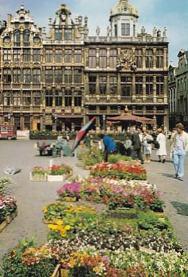 POSTAL 57834: Bruxelles Grand Place et Marche aux fleurs