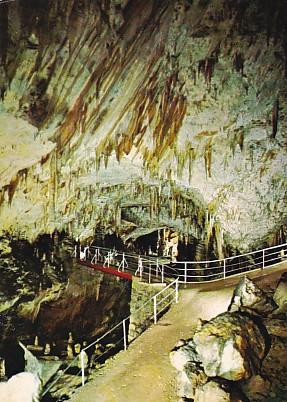 POSTAL 57878: Postojnska Jama The Grottoes of Postojna