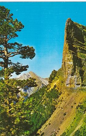 POSTAL 57904: Parque nacional de Ordesa La Tendenera y Tozal de Mallo