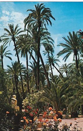 POSTAL 57932: Elche Parque Municipal detalle del Jardin