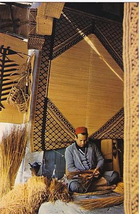 POSTAL 57948: Nabeul (Tunisie): Un nattier