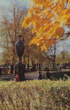 POSTAL 57994: Parque otoñal