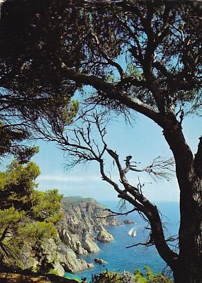 POSTAL 58026: Lloret de Mar Costa Brava (España) Acantilados en “Sa Cova”