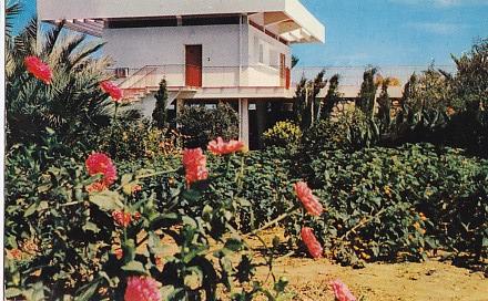 POSTAL 58080: Skaness Une villa parmi les fleurs