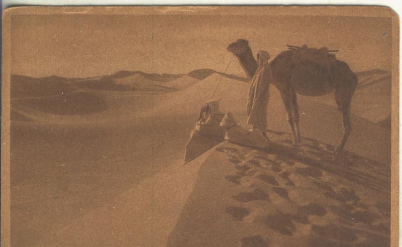 Postal B/N 0239 : Les grandes dunes