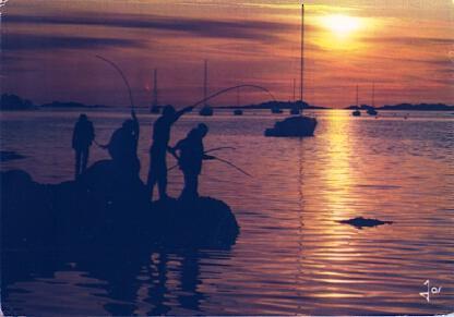 POSTAL 57544: La pêche aux chinchards dans le soleil couchant Erquy