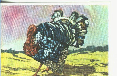 Cromos: Historia Natural numero 355