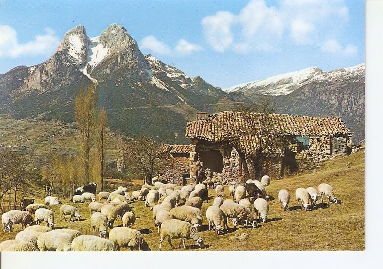 Postal 048928 : Saldes (Barcelona) Pedraforca