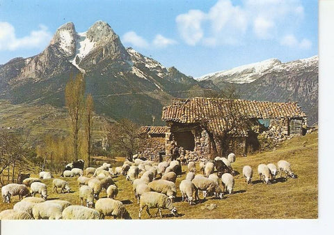 Postal 048928 : Saldes (Barcelona) Pedraforca