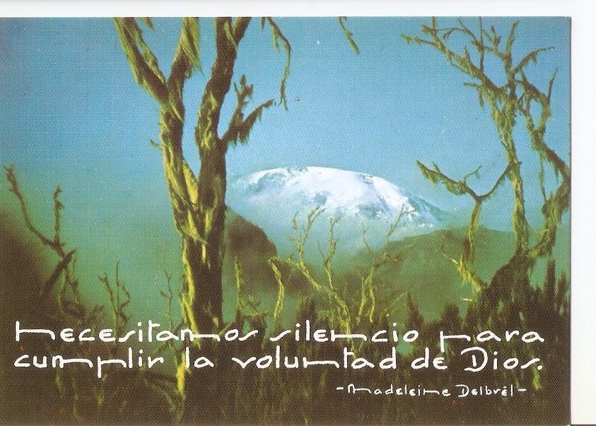 Postal 030823 : Arboles retorcidos al fondo montaña helada