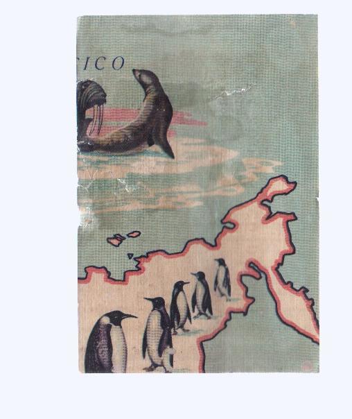 Cromos: de la Selva Misteriosa a los abismos del mar: numero 056: Mapa zoologico de asia, parte