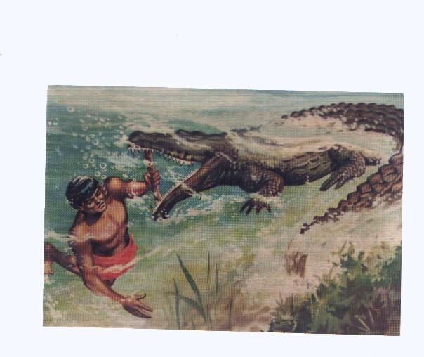 Cromos: de la Selva Misteriosa a los abismos del mar: numero 157: La fiereza burlada