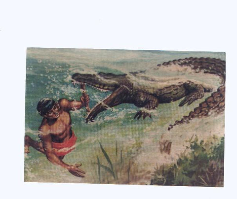 Cromos: de la Selva Misteriosa a los abismos del mar: numero 157: La fiereza burlada