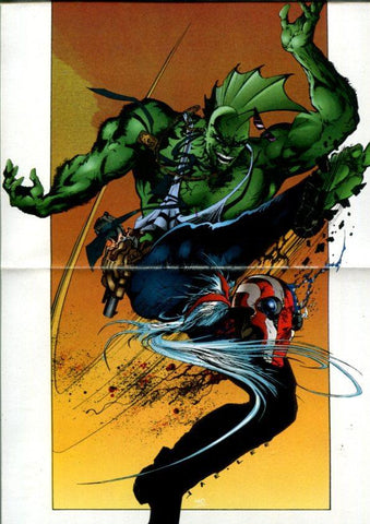 Image poster Book: Spawn y the Savage Dragon
