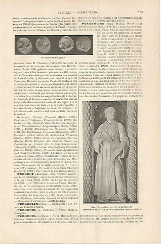 LAMINA ESPASA 18004: San Pergentino