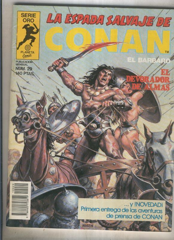 La espada salvaje de conan volumen 1 numero 029