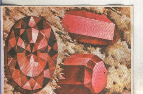 Cromos: Historia Natural numero 075
